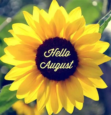 ★ Hello August ★
