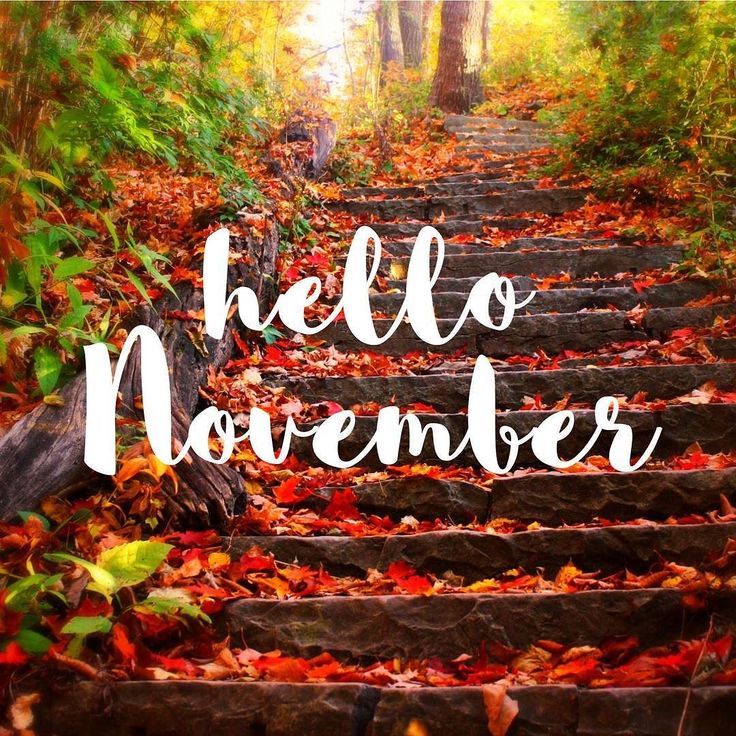 Hello November