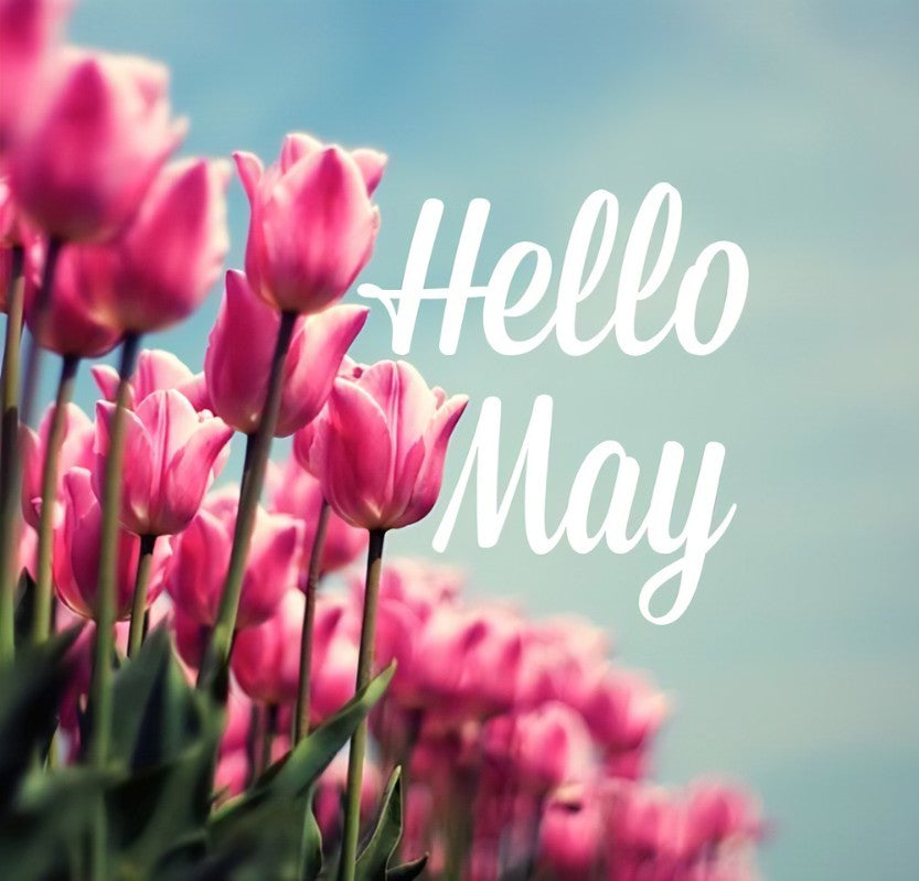 ★ Hello May ★