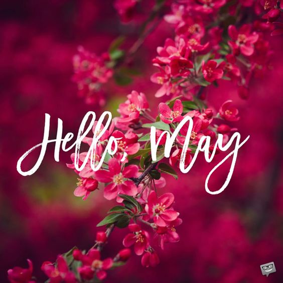Hello May