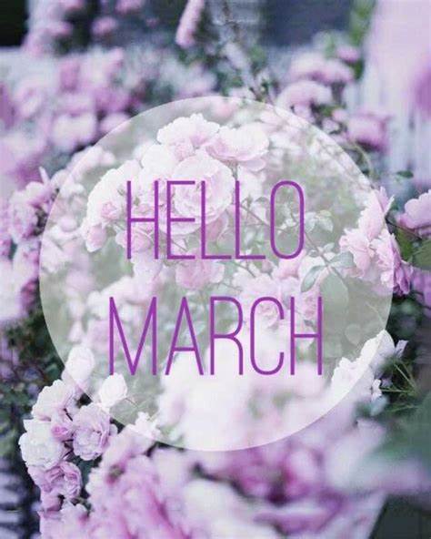 ★ Hello March ★