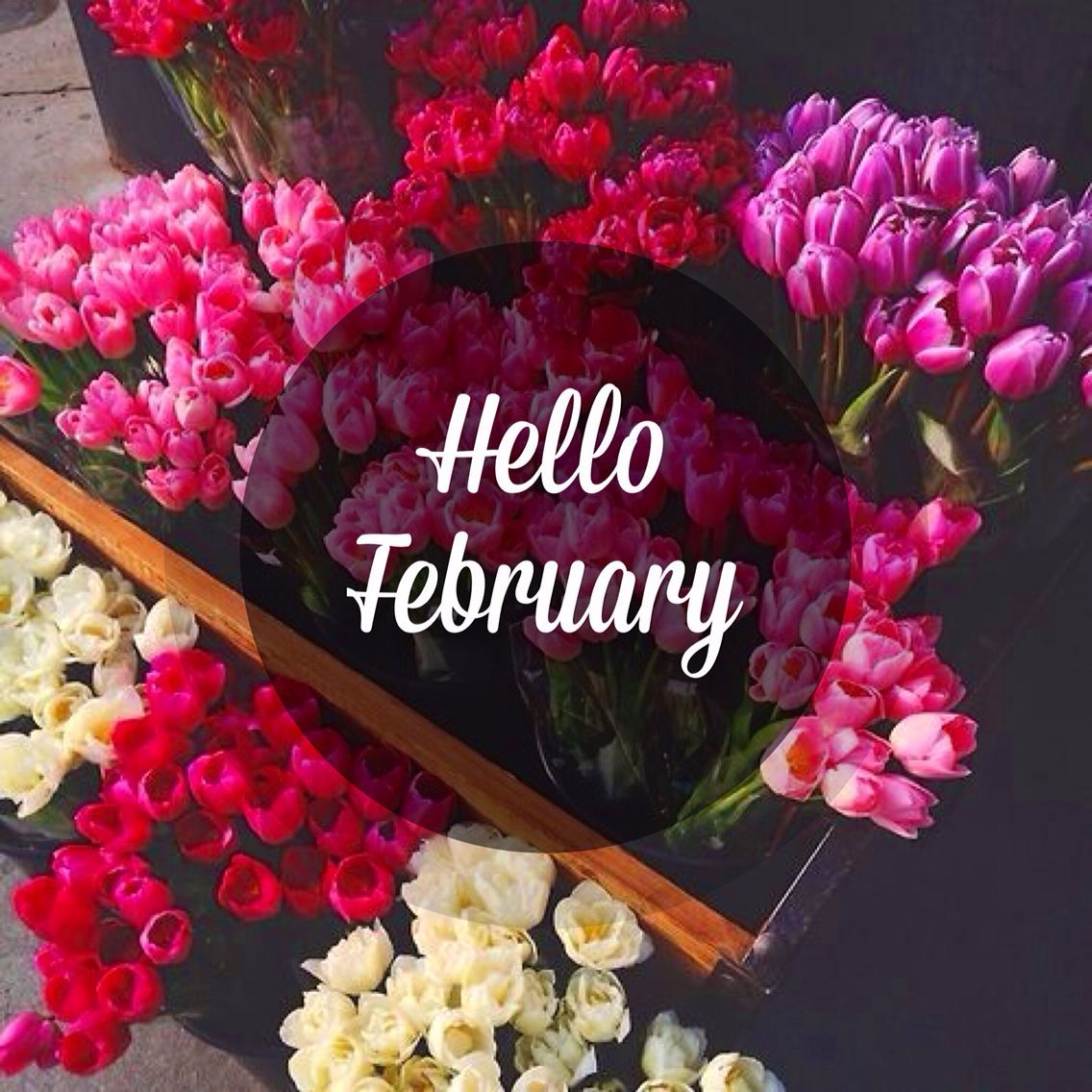 ★ Hello February ★