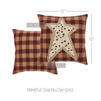 Pip Vinestar Primitive Star Pillow 12x12