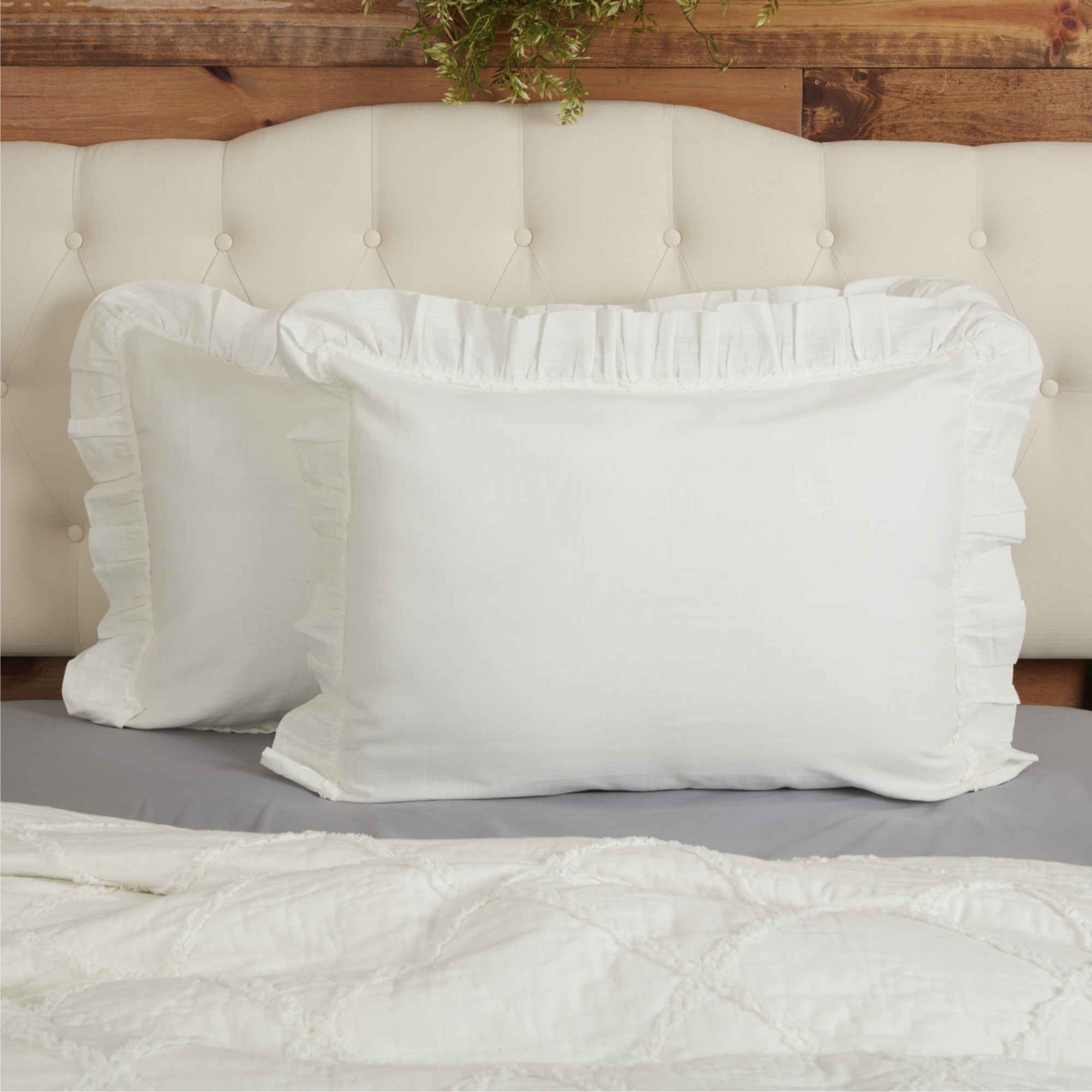 Kathryn King Sham 37Lx21W