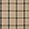 Cider Mill Plaid Prairie Swag Set of 2 36x36x18