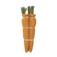 Spring In Bloom Bundle of 3 Carrots