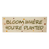 Spring In Bloom Bloom Where You're Planted MDF Wall Sign 5x14x0.75