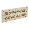 Spring In Bloom Bloom Where You're Planted MDF Wall Sign 5x14x0.75