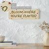 Spring In Bloom Bloom Where You're Planted MDF Wall Sign 5x14x0.75