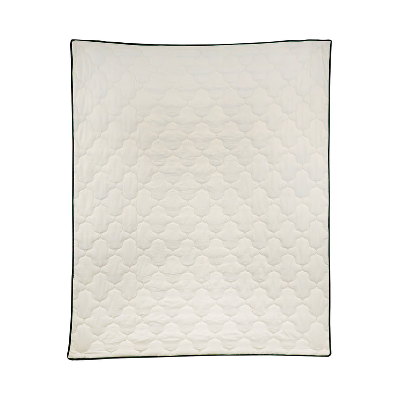 Dashing Quilted Collection