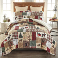 Dashing Comforter Collection