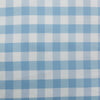 Annie Buffalo Blue Check Swag Set of 2 36x36x16