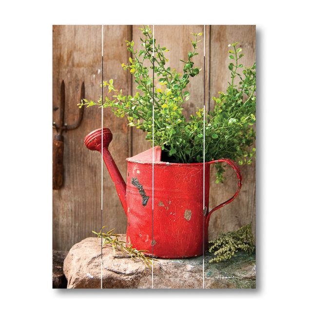 Farmhouse Pallet Wall Art ~ Vintage Red Watering Can