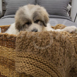 Plush Knit Throw ~ Camel